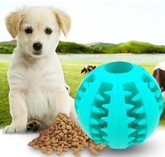 Interaktiver Hundespielball