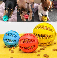 Interaktiver Hundespielball